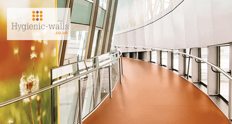 Hygienic Walls Christchurch