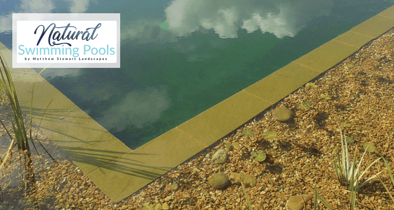 Natural Swimming Pools Dorset